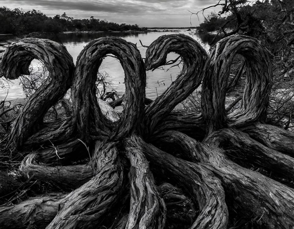 2020's Most-Interesting Photos